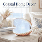 Seashell Pearl Night Light Ocean Sea Shell Snow Globe with Music and 6H Timer, USB & Battery Powered, Decorative Shell Night Light for Adult Kid Bedroom Living Room Coastal Decor Ideal Gift (Seashell)