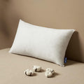MIULEE Pillow Insert 22x32 Inch, Decorative Rectangle Throw Pillow Inserts, Premium Fluffy Pillow Forms Sham Stuffer for Sofa Couch Living Room
