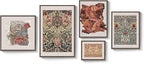 Framed William Morris Gallery Wall Art Set of 5, Vintage Colorful Botanical Floral Prints, Retro Boho Artwork for Living Room, Bedroom, Home Office, Hallway Decor