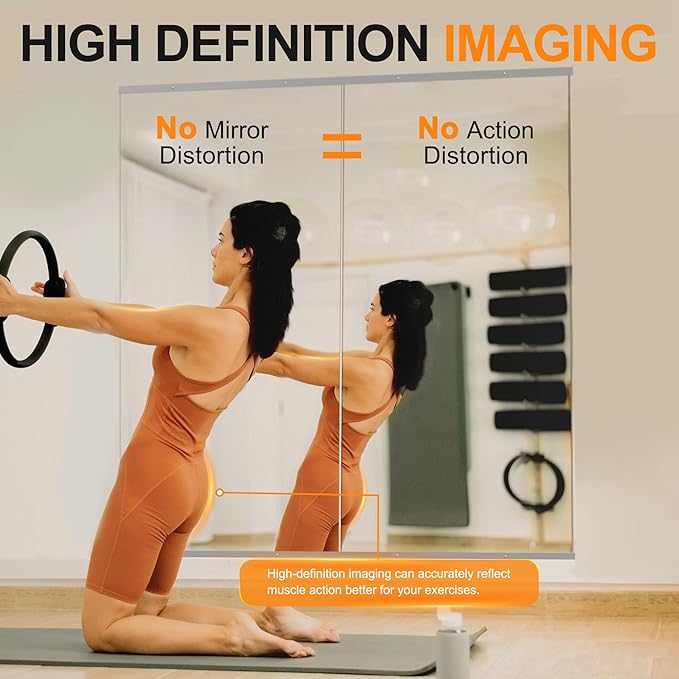 Delma Home Gym Mirror,60''x25''x2PCS Silver,Large Full Body Tempered Glass Frameless, Wall-Mounted for Gym, Yoga, Garage, Bedroom, Bathroom