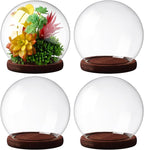 Tuanse 4 Pieces Glass Dome Display Showcase Glass Globe and Display Dome with Wood Base DIY Craft Keepsake Globe Case Gifts for Women Wedding Tabletop Centerpiece Decoration(Brown)