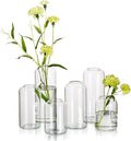 Hewory Glass Clear Modern Vase, Set of 6 - Small Bud Vases for Flowers, Elegant Home Decor Floral Arrangements, Wedding Party Events Centerpieces