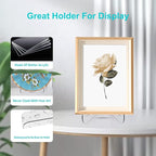 Boloyo 60-Degree Angle Acrylic Plate Display Stand , 3 Inch 5PC Clear Acrylic Display Holder Easel Base for Home Office Kitchen School Art Display