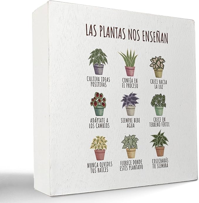 kunlisa Mental Health What Plants Teach Us Spanish Potted Plant Wooden Box Sign Desk Decor,Rustic Wood Block Plaque Box Sign for Therapy Office School Counseling Office Wall Shelf Tabletop Decoration