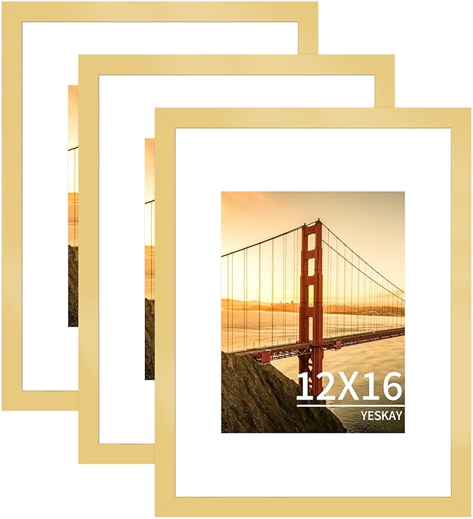 12x16 Picture Frame 3 Pack - Gold Poster Frame Display Pictures 8.5x11 with Mat or 12 x 16 Without Mat for Wall Hanging Horizontal and Vertical