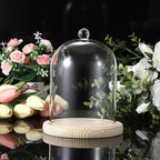 JUXYES Glass Display Dome Cloche with Wood Base, Clear Glass Dome Cloche Bell Sphere Jar Snow Globe Kit, Snowglobe Cloche Bell Jar Display for Fairy Light Plant Collectible Figures