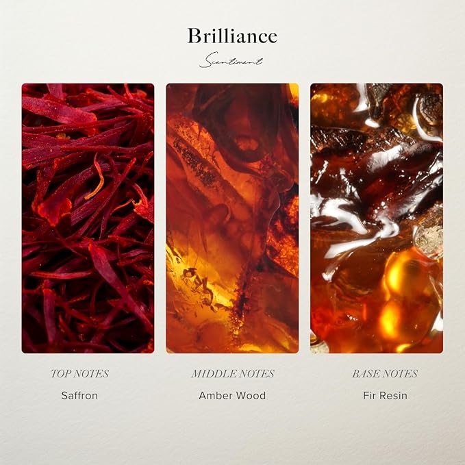 Scentiment Diffuser Oil - Brilliance Designer Collection | Aromatherapy Home Fragrance | Luxurious Scent with Notes of Saffron, Amberwood, Fir Resin (50 mL)