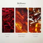 Scentiment Diffuser Oil - Brilliance Designer Collection | Aromatherapy Home Fragrance | Luxurious Scent with Notes of Saffron, Amberwood, Fir Resin (50 mL)
