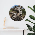 Wall Picture, with Funny Zebra Printed Circular Iron Hanging Picture,Wall Art Decor,Home for Bedroom Living Room Bathroom Decor,Iron Painting 11.8X11.8 in