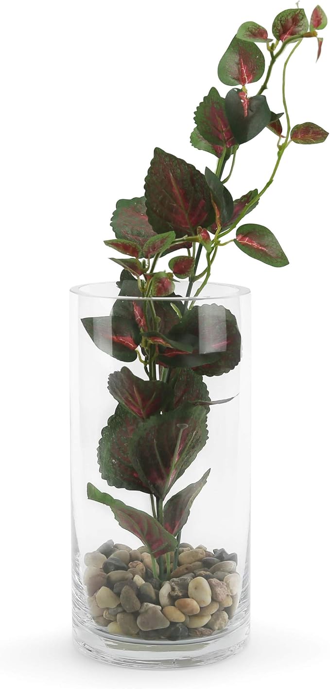 WGVI Quality Thick Weighted Clear Cylinder Glass Vases, 4" W x 8" H, Flower Arrangement Floating Candle Holders Wedding Centerpieces Terrarium Planter Floral Pen Brush Storage Container, 1 Piece