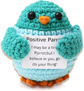 Inspirational Handmade Crochet Parrot, Positive Emotional Support Parrot, Valentine's Day Gift, Birthday Thanksgiving Basket Gift for Home Decorations