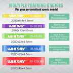 Resistance Bands, Pull Up Bands, Workout Bands for Exercise, Thick Heavy Resistance Band Set with Door Anchor, Elastic Bands for Body Stretching, Training at Home/Gym for Men & Women