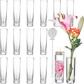 Glass Cylinder Bud Vases for Centerpieces – Set of 16 Handmade Clear Small Flower Vase 7.48 Inches Tall,Wedding Table Decor for Single Rose Vases Bulk,Small Vases Home Decor,Floreros,1 Brush