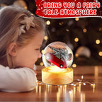 Irenare 12 Pcs 3.9 Inch DIY Snow Globe Kit, 6 Make Your Own Snow Globe Craft with 6 LED Light Wooden Base Clear Plastic Dome for Winter Decor Keepsake Gift Plant Terrarium Display(Wood Base)