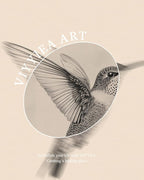 VIYYIEA Vintage Gold Framed Wall Art for Living Room, Birds Canvas Prints Home Decor, Sketch Painting Picture, Bedroom Wall Decor Gifts for Friends or Family -【Hummingbird】-(24L x 16W)