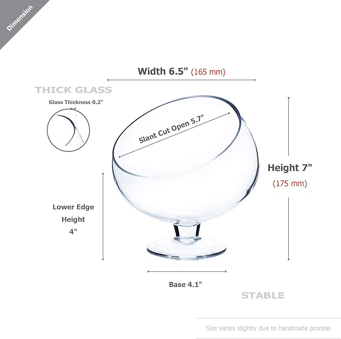 WGV Slant Cut Bowl Glass Vase Bulk with Stand, Width 6.5", Height 7", Clear Planter Terrarium, Candy Dish, Fruit Jar for Wedding Party Event, Home Office Decor, 8 Pieces