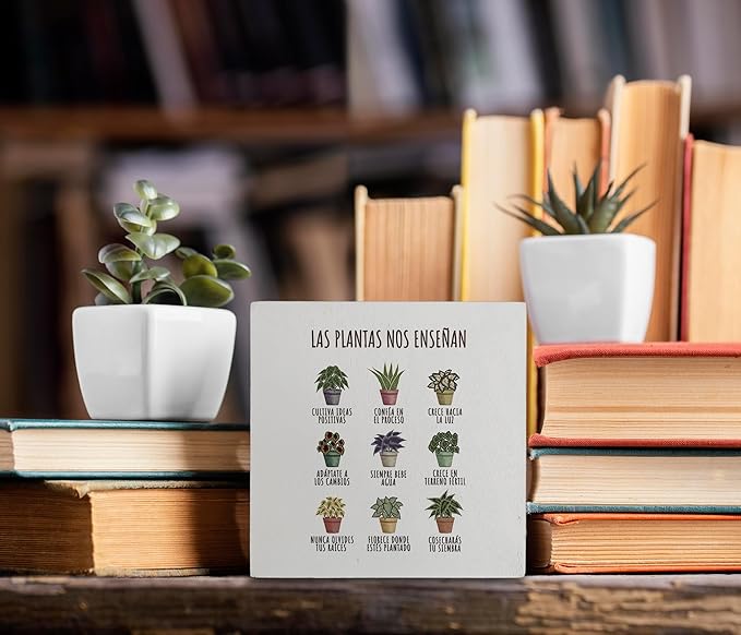 kunlisa Mental Health What Plants Teach Us Spanish Potted Plant Wooden Box Sign Desk Decor,Rustic Wood Block Plaque Box Sign for Therapy Office School Counseling Office Wall Shelf Tabletop Decoration