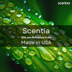 Scentia Hotel Diffuser Oil Inspired by The Nobu Hotel - 120 mL 4.06 fl oz - Essential Oil Blend Jasmine, Lilly, Sandalwood for Aromatherapy Diffusers - Nobu Essence - Thanksgiving & Holiday Gift