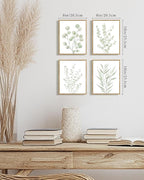 Drsoum Botanical Plant Framed Wall Art Boho Wall Decor for Bathroom Sage Green Eucalyptus Leaf Prints Minimalist Aesthetic Ready to Hang Set of 4, 8x10 in (Natural Framed)