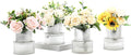Ribbed Glass Vases, Set of 4 Small Vases for Flowers, Clear Glass Vase for Tulips, Modern Vase for Living Room, Kitchen, Office, Entryway, Bookshelf, Wedding Gifts, Birthday, 6 Inches