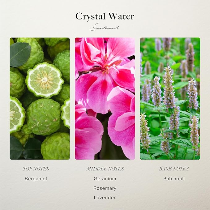 Scentiment Diffuser Oil - Crystal Water Designer Collection | Aromatherapy Home Fragrance | Luxurious Scent with Notes of Bergamot, Geranium, Patchouli (50 mL)