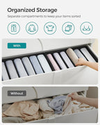 SONGMICS Set of 4 Large Size Wardrobe Clothes Organizers, 6-Compartment Foldable Drawer Organizers with Handles, 16.5 x 11.8 x 6.7 Inches, for Pants, Sweaters, Jeans, Ink Black URUS009B04