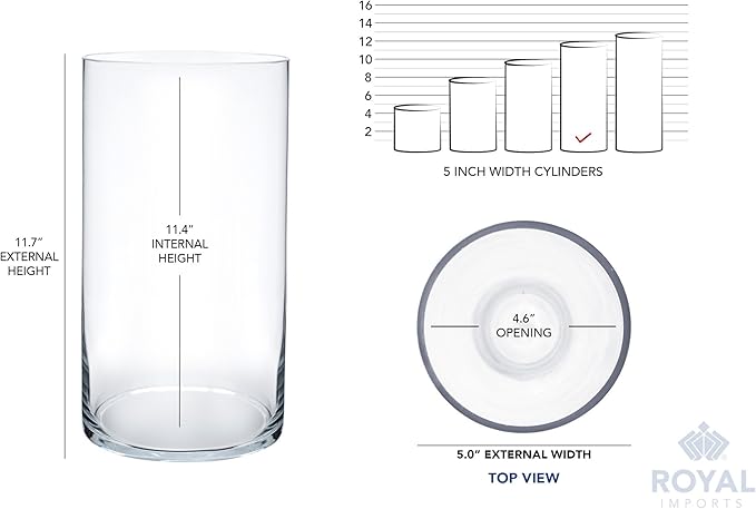 Royal Imports Flower Glass Vase Decorative Centerpiece for Home or Wedding - Cylinder Shape, 12" Tall, 5" Opening, Clear