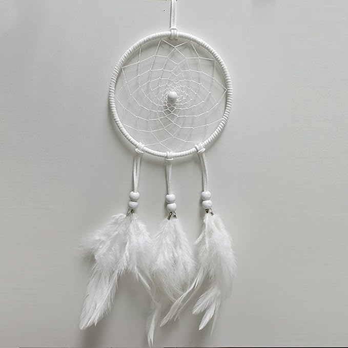 DIY Dream Catcher Beginner Kit, Making Dream Catcher Supplies Include Metal Hoop, Feathers, Faux Suede Cord, Thread, Wood Beads (White)