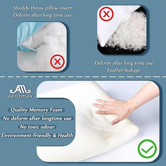 AM AEROMAX 22 ×22 Throw Pillow Memory Foam Pillow Insert - Square Accent Pillow for Decorative Cushion Bed Couch Sofa - Non-Deforming Over Time