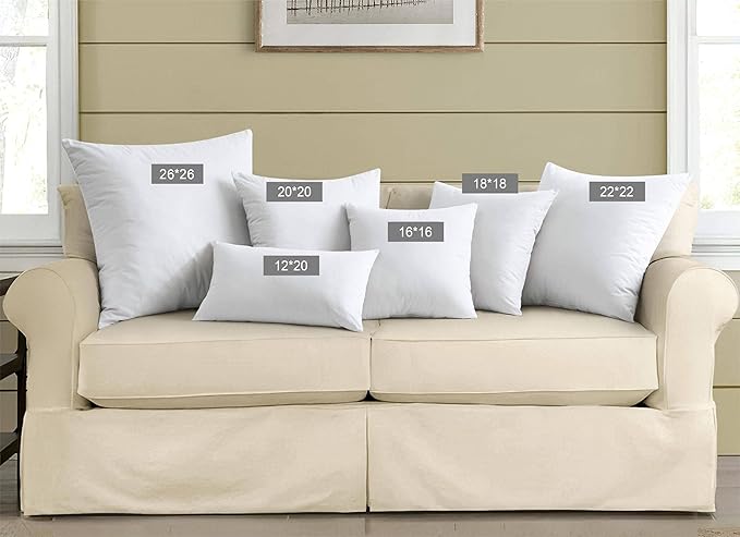 puredown® Natural Feather Down Throw Pillow Inserts 20 x 20 (Set of 2, White), Décor Pillow for Couch, Chairs, Office, Apartments