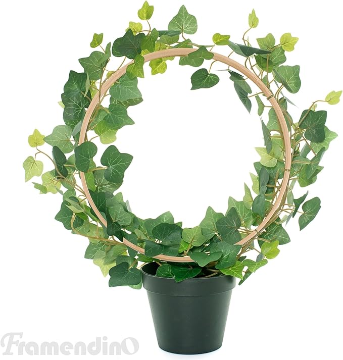 Framendino, 20 Pack Wooden Bamboo Ring Hoop Dream Catcher Rings Macrame Floral Hoops Craft for DIY Wedding Wreath Wall Hanging Decorations (8 in)