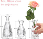 Glass Bud Vases in Bulk, 3pcs Small Glass Vase for Elegant Centerpieces,Mini Vases for Flowers,Small vases for Home Wedding Living Room Wedding Party