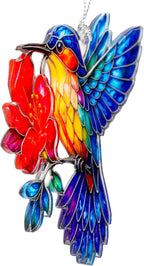 Hummingbird Gifts for Women - Christmas Ornament 2026 - Beautiful Christmas Ornaments Decorative Hummingbird with Meaningful Story Card Humming Bird Valentines Birthday Teacher Gift