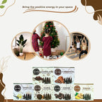 TRUMIRI Gourmet Incense Cones - Variety Pack - Total 60 Cone Incense (6 Scents x 10 Conos) - Vanilla, Cinnamon, Coffee, Chocolate, Clove, Ginger - Cone Incense Scents - Insense Cones - Incent Cone