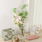 5’ Wide and 8" High Large Hand Blown Sturdy Clear Cylinder Glass Vase, Centerpiece Flower Vase for Rose, Tulip, Boquets, Hurricane Candle Holder (2, 5"x8")