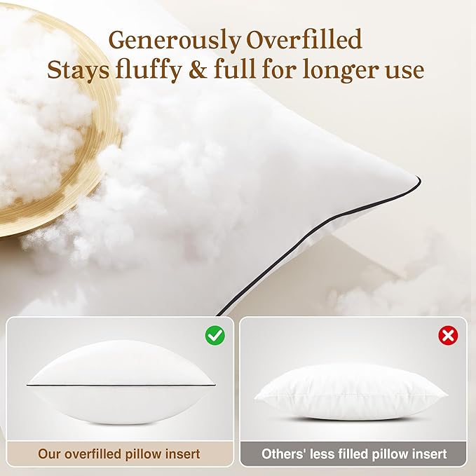 puredown® 20x20 Pillow Inserts Set of 2, Fluffy Overfilled Down Alternative Decorative Pillows, Soft Plush Throw Pillows for Couch, Sofa, Bed and Home Decor