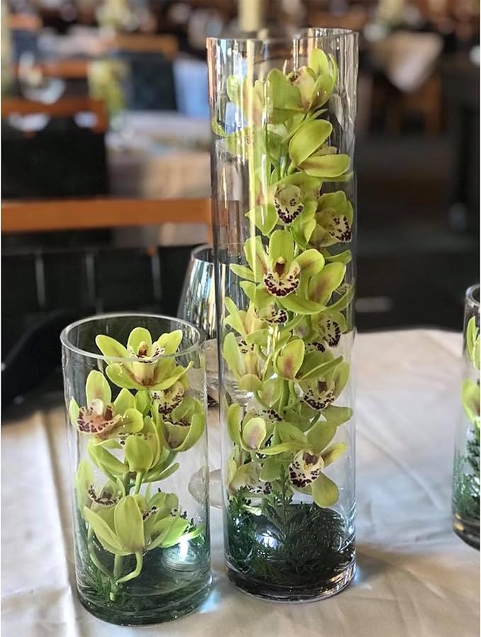 WGVI Quality Thick Clear Cylinder Glass Vase, 3" W x 5" H, Floral Container, Glass Candle Holder, Flower Vases, Wedding Centerpiece, Planter Terrarium, Table Top Home Décor Accent, 6 Pieces