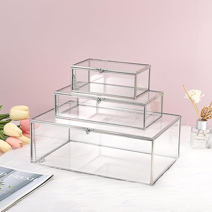 Hipiwe Glass Keepsake Display and Jewelry Organizer With Lid - Silver Decorative Clear Rectangle Storage for Trinket Perfume Collection - Gift for Birthday Anniversaries, Large