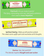Nag Champa Incense Sticks Variety- Pack (12 Incenses, 140+ Sticks)