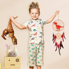 Basumee Dream Catcher for Kids Feather Dream Catchers Handmade Home Decor Wall Hanging with Double Ring for Nursery Bedroom Boys Room, Red Dinosaur