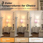 Dicoool Pink Bedroom Lamp for Bedside - 3 Color Temperatures Desk Lamp with USB C and A Ports, Pull Chain Table Lamp with AC Outlet, Nightstand Lamp with Silver Metal Base for Kids Girls