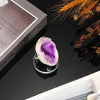 Hipiwe Acrylic Display Easel Rock Display Stand Three-Peg Display Easel Stands for Mineral Crystal Geodes Coral Fossil Small Collectibles Display Stands with Round Base,Small,4 Pack