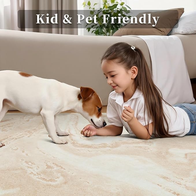 Ciicool Abstract Area Rug Indoor, 5x7 Washable Entryway Rug, Modern Soft Throw Entry Rug with Non-Slip Backing for Bedroom Living Room Entrance, Low-Pile Floor Carpet Doormat Light Brown Beige