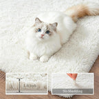 Fluffy 4x6 Area Rugs for Living Room Bedroom: Ultra Soft Shag Rug Non-Slip Non-Shedding Small Plush Bedside Rug Indoor Floor Carpets for Kids Room Playroom Entryway Nursery Dorms Home Decor Ivory