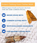 【𝐇𝐢𝐠𝐡𝐥𝐲 𝐄𝐟𝐟𝐞𝐜𝐭𝐢𝐯𝐞】 Clothes Moth Traps with Extra Strength Pheromone Attractant -NonToxic Sticky Glue for Closet and Carpets Bearing Webbing Moths, 6 Pack