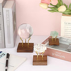 Hipiwe Metal Arm Display Stand Easel with Wooden Base Decorative Display for Sphere Crystal Ball Mineral Geodes Rock Agate Small Collectibles, Medium