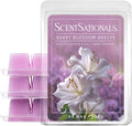 Scentsationals Berry Blossom Breeze Scented Wax Melts - Violet, White Lily, & Sweet Berries, 10oz (24 Cubes)