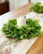 DDHS 11 Inch Small Boxwood Wreath for Front Doors, 2 Packs Artificial Mini Green Wreath Weatherproof, Spring Summer Indoor Outdoor Wreaths for Wall Window Table Wedding Home Decor Party Farmhouse
