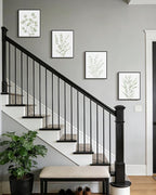 Drsoum Botanical Plant Framed Wall Art Boho Wall Decor for Bathroom Sage Green Eucalyptus Leaf Prints Minimalist Aesthetic Ready to Hang Set of 4, 11x14 in (Black Framed)