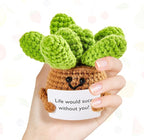 DAFURIET Mini Funny Crochet Succulent, 3 inch Knitted Wool Doll with Card for Cheer Up Gifts and Party Decorations, Cute Wool Crochet Doll for Mother’s Day Easter Birthday Gifts (Succulent Plant)
